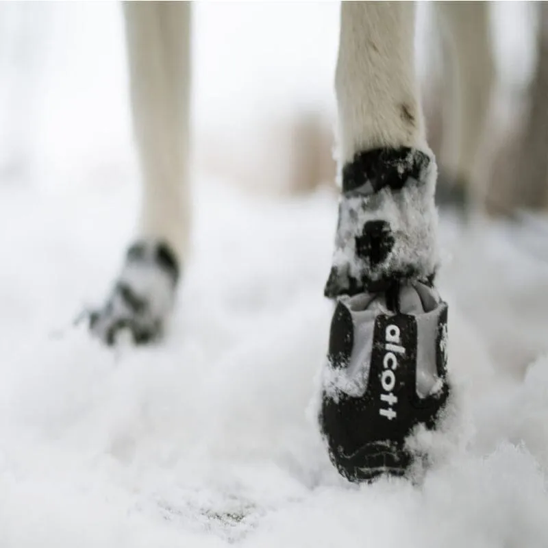 Explorer Adventure Dog Shoes or Boots