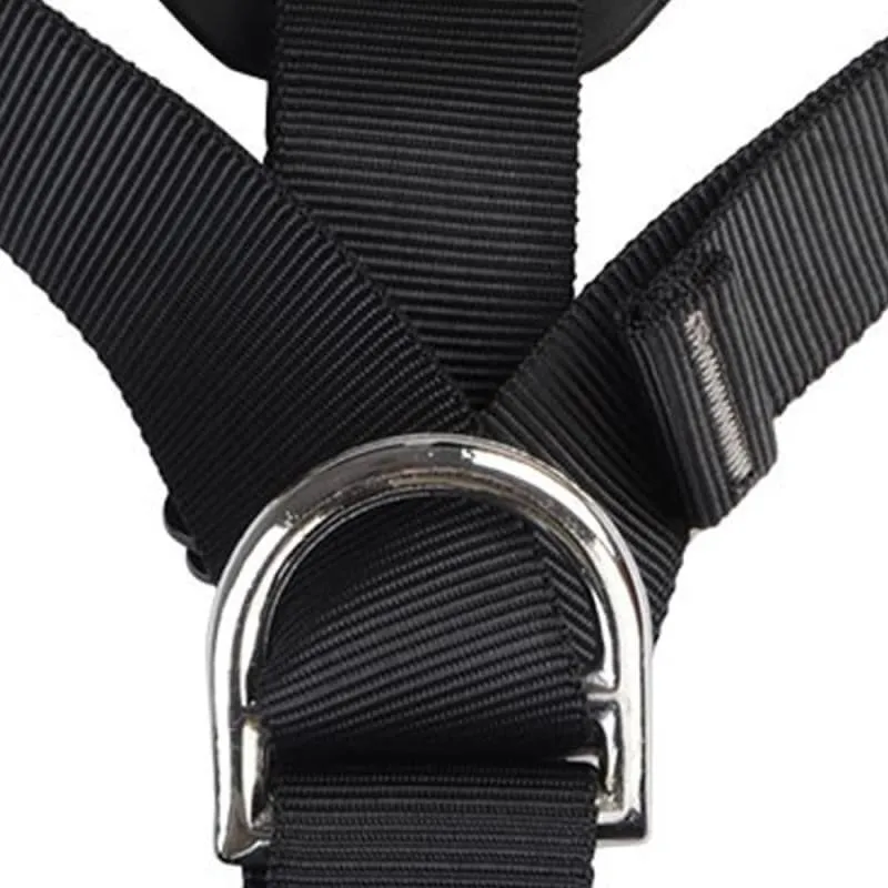 Professional Rock Climbing Body Belt