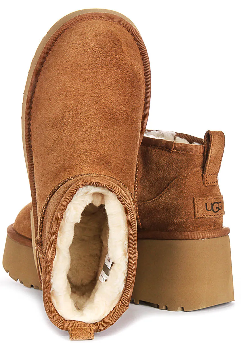 Ugg Australia Ultra Mini Heel In Chestnut For Women